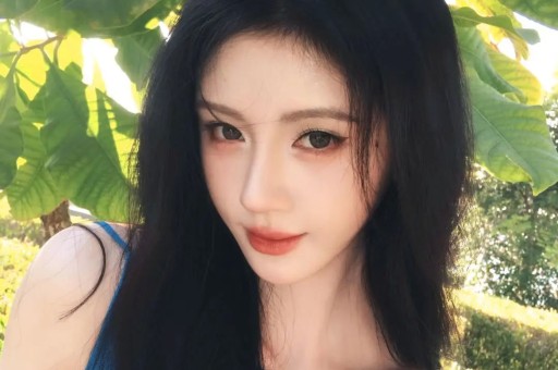 看丹观察_央广网