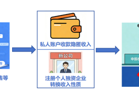 七起网红网店偷税案曝光有人卖货百万却缴税千元
